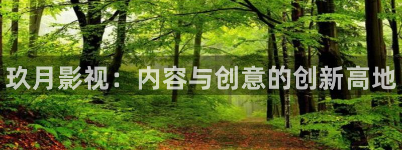 石家庄麦田汽车电影院：玖月影视：内容与创意的创新高地
