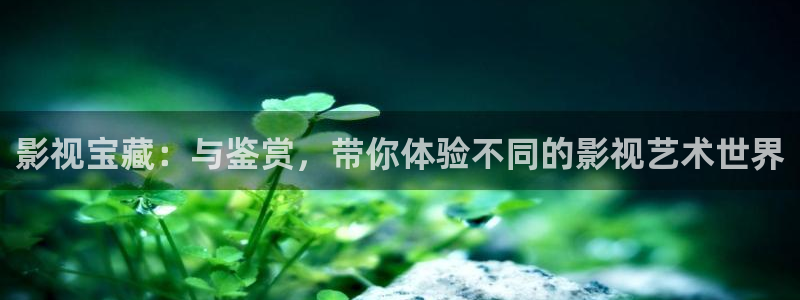 电影麦田全集：影视宝藏：与鉴赏，带你体验不同的影视艺术世界