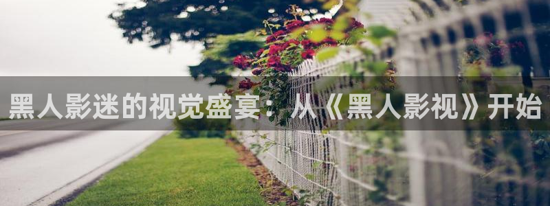 麦田影视官网：黑人影迷的视觉盛宴：从《黑人影视》开始