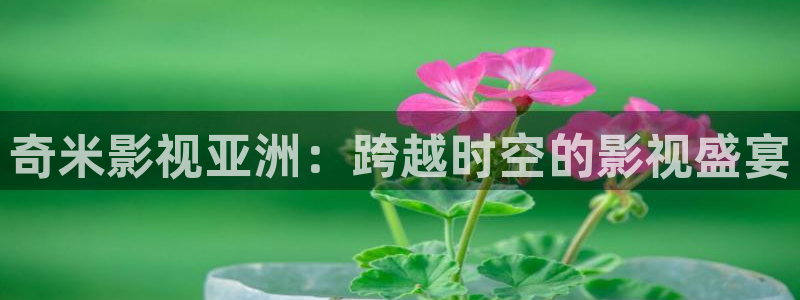 沂水九州麦田影城：奇米影视亚洲：跨越时空的影视盛宴
