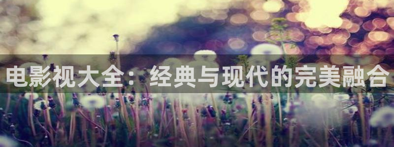 麦田视觉：电影视大全：经典与现代的完美融合